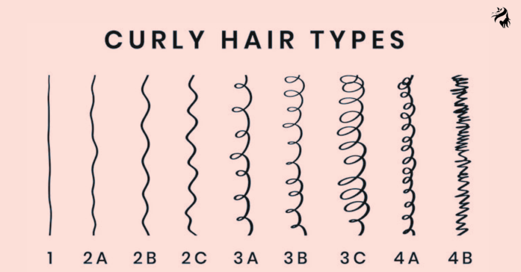 types of curl